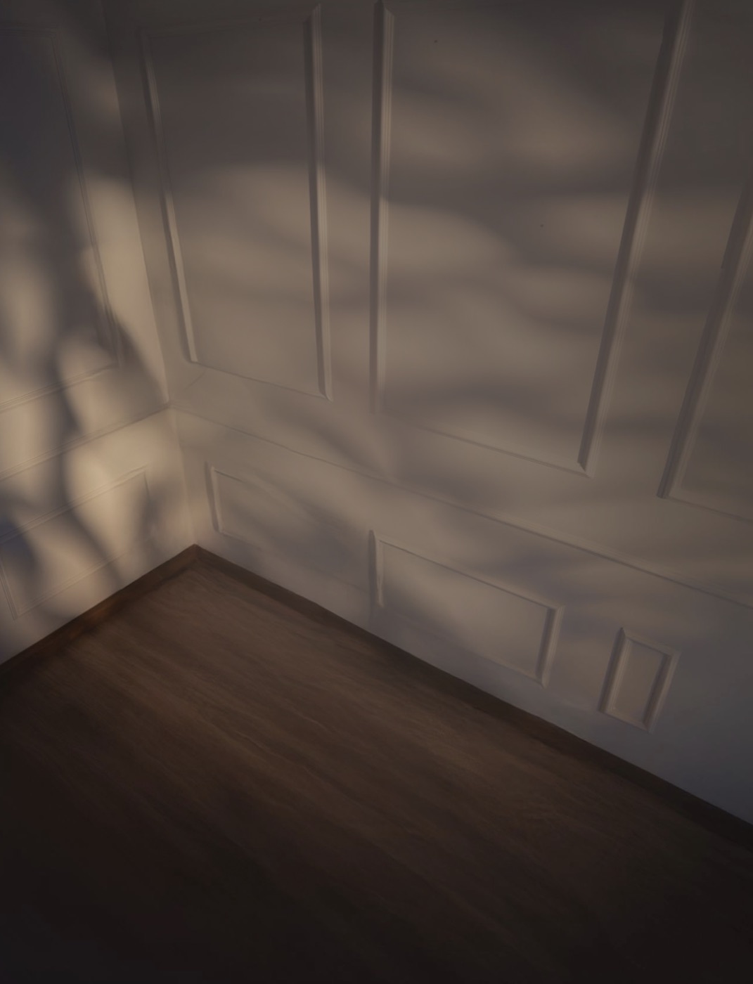 Parede boiserie branca com jogo de sombras de folhagem